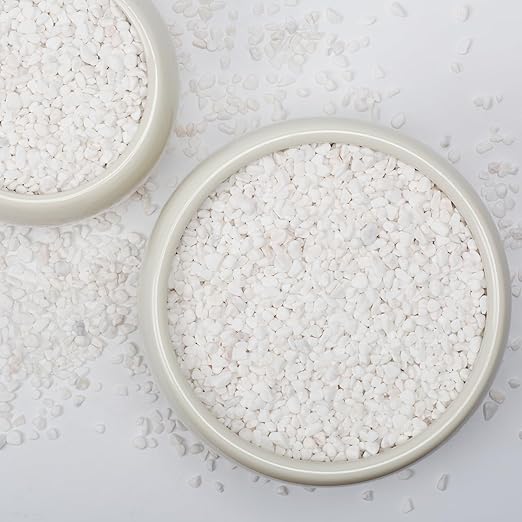 1/5 Inch White Succulent Cactus Gravel, 5 lbs – Ideal for Succulent Plant Pots, Vase Fillers, Glass Containers, Aquariums, Patios, and Outdoor Gardening River Stones (White, 5 Pounds)-PurrikoPets