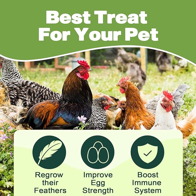 22LB Dried Black Soldier Fly Larvae, 2 Pack of 11 LBS, 86X Calcium Than Dried Mealworms, High Protein Non-GMO Organic Chicken Feed-PurrikoPets