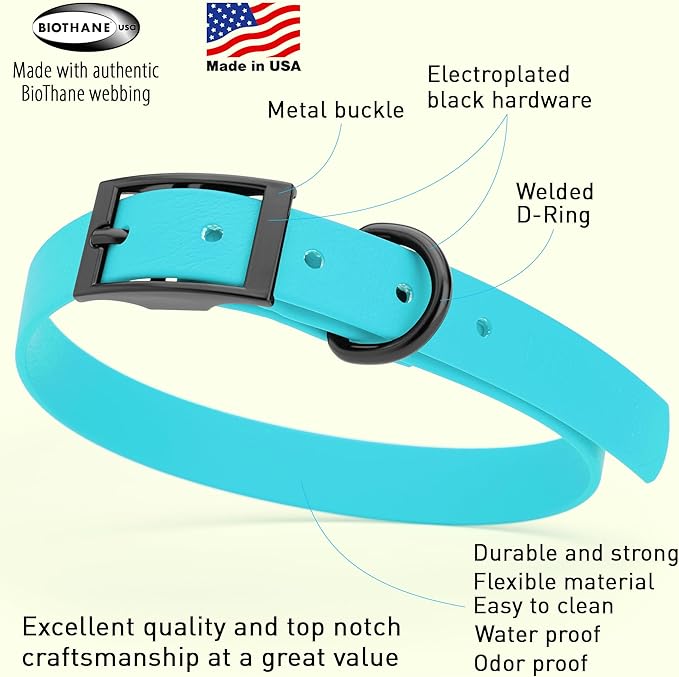 Dogline Biothane Waterproof Dog Collar Strong Coated Nylon Webbing with Black Hardware Odor- Proof for Easy Care Easy to Clean High Performance Fits Small Medium or Large Dogs, Sky Blue-PurrikoPets