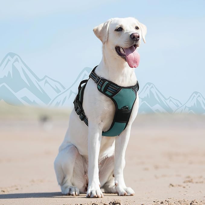 Eagloo Dog Harness for Large Dogs, No Pull Service Vest with Reflective Strips and Control Handle, Adjustable and Comfortable for Easy Walking, No Choke Pet Harness with 2 Metal Rings, Dark Green, L-PurrikoPets