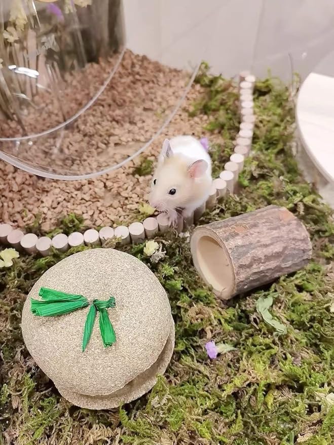 5L Forest Moss for Hamster Syrian Gerbils Bedding, Natural Moss Perfect for Potted Plants, Terrariums, Reptile Tanks and Live Creature Projects-PurrikoPets