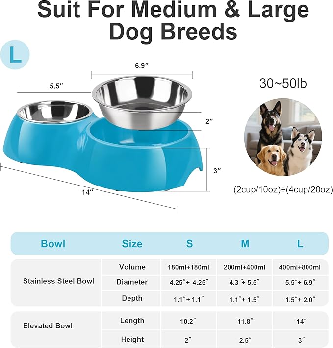 Elevated Dog Bowls Set - Non-Slip Raised Pet Feeder with Medium (2 Cups) & Large (4 Cups) Stainless Steel Bowls - Includes Durable Resin Stand for Puppies, Adult Dogs & Cats - Blue-PurrikoPets