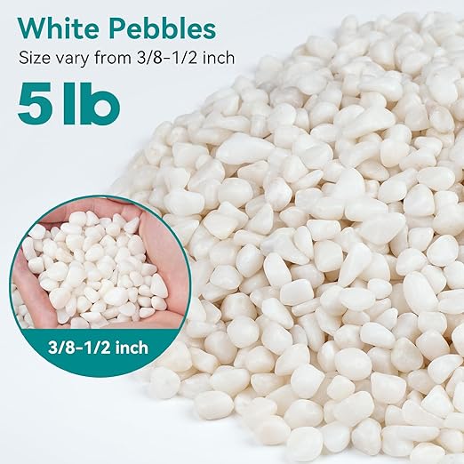 5 lbs Small White Rocks for Planters, 3/8" White Pebbles for Vases, Decorative Small Stones for Plants, Succulents, Bamboo, Terrarium, Landscape, Garden-PurrikoPets