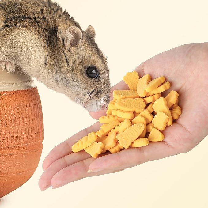 Abizoo Hamster & Gerbil Treats, Crunchy Baked Hamster Snacks with Carrot and Yeast, Natural Training Reward Chew Treats for Small Animals, Supports Digestion and Dental Health-PurrikoPets