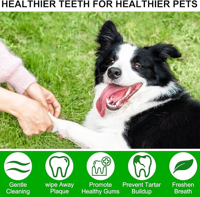 ALIVO Dental Teeth Cleaning Wipes for Dogs & Cats, Remove Bad Breath by Removing No-Rinse Dog Finger Toothbrush, Disposable Gentle Cleaning Pet Dental Care Wipes, 50pc-PurrikoPets