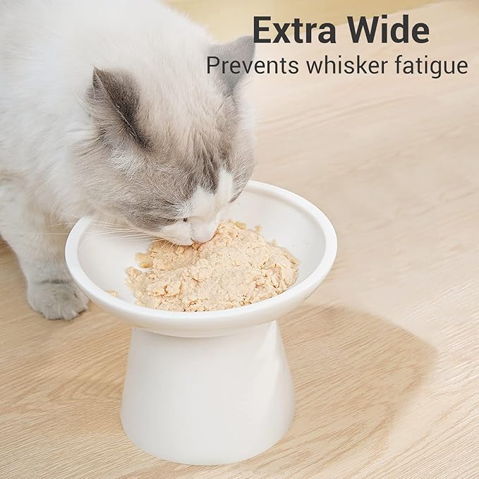 Extra Wide Elevated Ceramic Cat Bowl - 6.2" Shallow Dish for Whisker Fatigue Relief, 5" Height for Easy Feeding, Lead & Cadmium Free, Durable Raised Cat Food Bowls, White-PurrikoPets