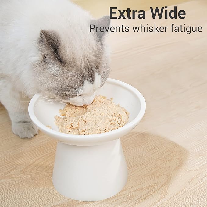 Extra Wide Elevated Ceramic Cat Bowl, 6.2" Shallow Dish for Whisker Fatigue Relief, 5" Height for Easy Feeding, Durable Raised Cat Food Bowls, Pack of 2, White-PurrikoPets