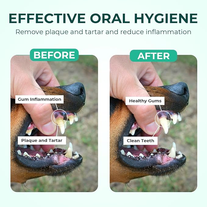 Dog Teeth Cleaning Wipes 50 Pack, Reduces Plaque and Freshens Breath, Dog Dental Wipes Dog Tooth Brushing Kit, No-Rinse Dog Toothbrush Finger Wipes Dental Care for Dogs Cats-PurrikoPets