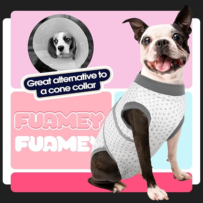 FUAMEY Dog Recovery Suit Male,Dogs Surgery Neuter Suits Puppy Spay Shirts for Female Protect Dog's Skin Anti Licking Abdominal Wounds Doggie Onesie Pet Bodysuit Alternative to Cone Polka Dot XS-PurrikoPets
