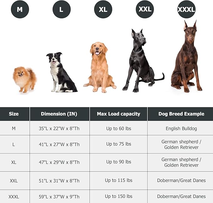 Elevated Dog Bed for Outdoor, XXXL Raised Dogs Cot with Washable Mesh, Cooling Pet Beds Chew Proof Dog Hammock, Metal Frame Lifted Platform for Training Outside Camping, 59 inch Brown-PurrikoPets