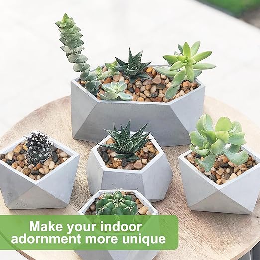 2.5 lbs Drainage Rocks for Potted Plants, 1/5 Inch Small Pebbles for Indoor Plants, Decorative Gravel for Vases, Bamboo, Succulent, Terrarium, Crafts, Cactus-PurrikoPets