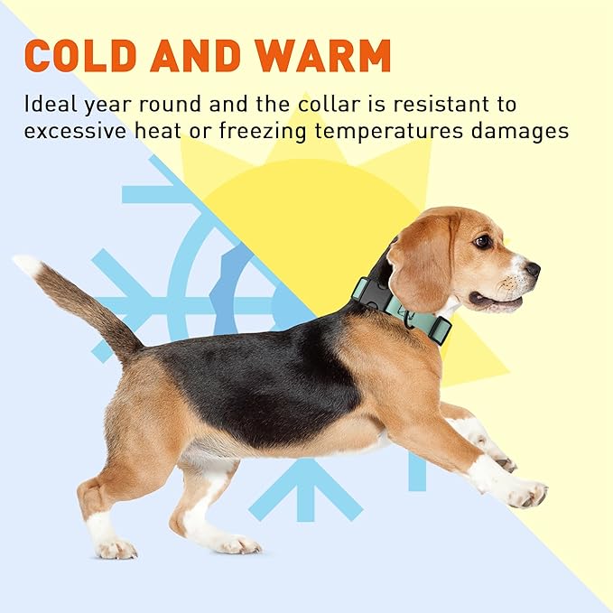 Dogline Biothane Waterproof Dog Collar with Quick Release Buckle Strong Coated Nylon Webbing with Odor- Proof for Easy Care Easy to Clean Fits Small Medium Large Dogs, Sage Green 3/4" W 12-19" L-PurrikoPets