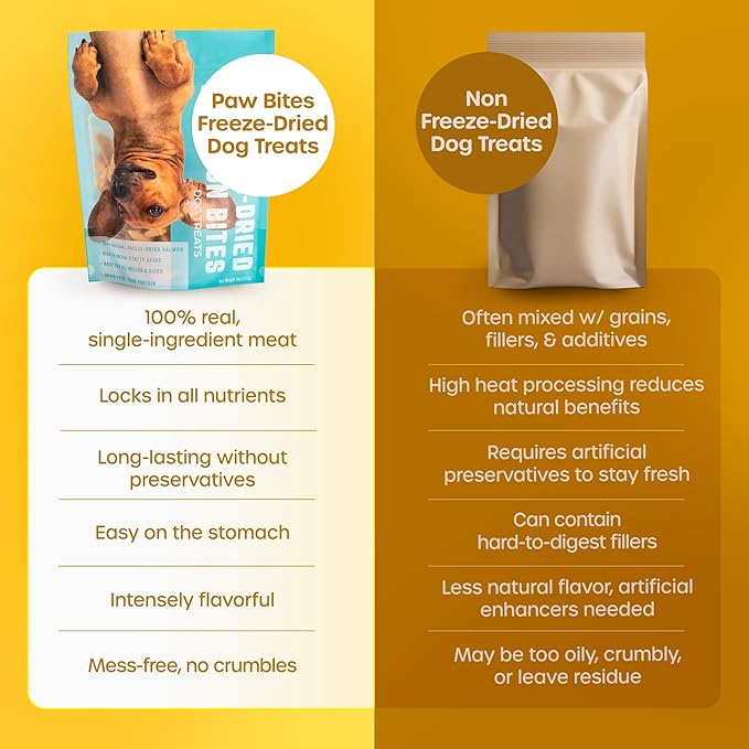 Freeze Dried Dog Treats - Wild Caught Salmon - Dog Food Dry Snacks - with Protein & Omega 3s - for All Breeds & Sizes - No Artificial Flavors & Dyes, No Preservatives - 1 Pouch, 4 oz-PurrikoPets