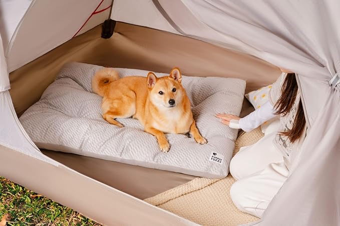 FUNNY FUZZY Washable Dog Bed,Reversible Plush Dog Crate Mat, Soft Fluffy Kennel Pad,Pet Sleeping Mattress for Large,Jumbo,Medium Sized Dogs Breeds,Indoor Cats,41.7" × 28.3", Light Grey-PurrikoPets