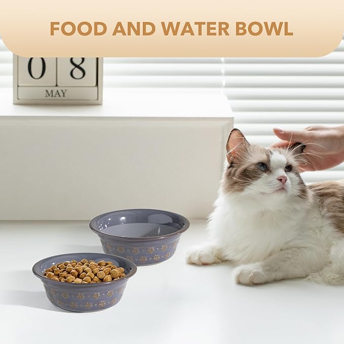 5.5inch Ceramic Set of 2 Dog and Cat Bowls, 2pcs Basic Food and Water Dishes for Puppy, Kitty, Wide Opening Rounded Edge (2 Bowls, Reactived Glaze -Grey)-PurrikoPets