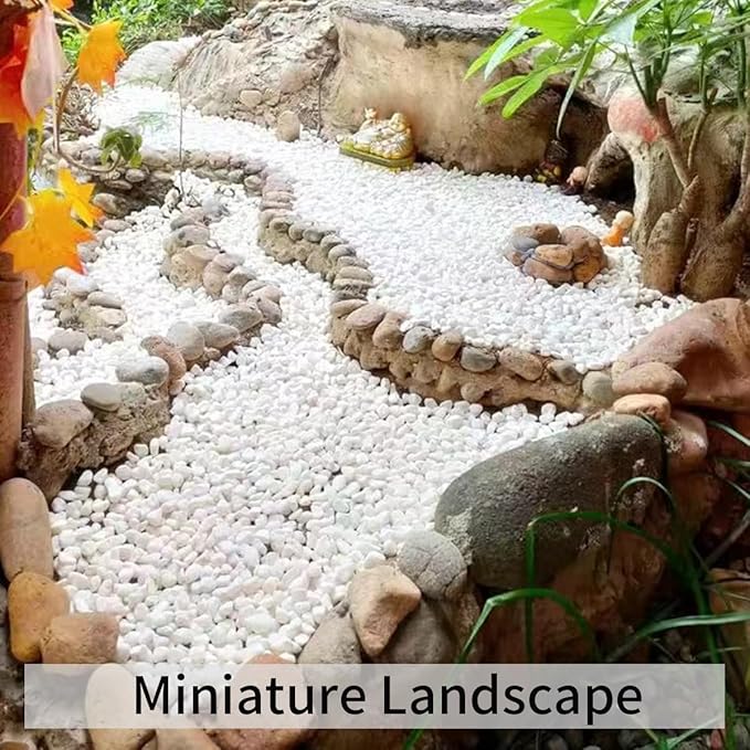 2 lbs White Gravel, 3/8 Inch White Pebbles for Indoor Plants. White Stones for Succulents, Planters, Vase and Outdoor Garden Landscaping-PurrikoPets