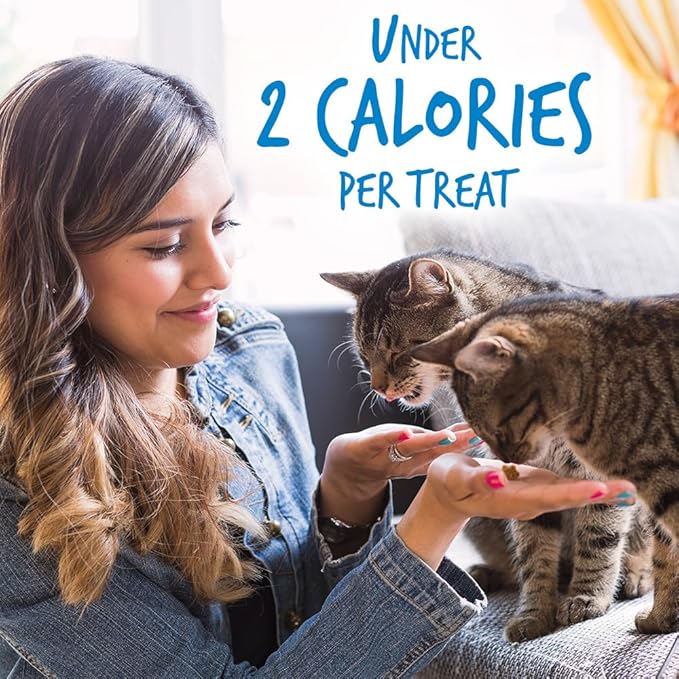 Fruitables Cat Treats Crunchy Cat Treats Packed with Protein Healthy Low Calorie Free of Wheat, Corn and Soy Made with Real Chicken and Blueberry 30 Ounces-PurrikoPets