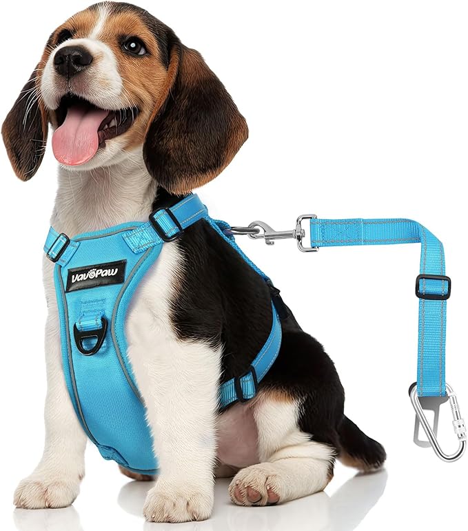 Dog Seat Belt Harness for Car, Dog Car Harness Adjustable Mesh Breathable & Dogs Seatbelt Safety Tether with Elastic Bungee for Small Medium Large Pets(Blue, S)-PurrikoPets