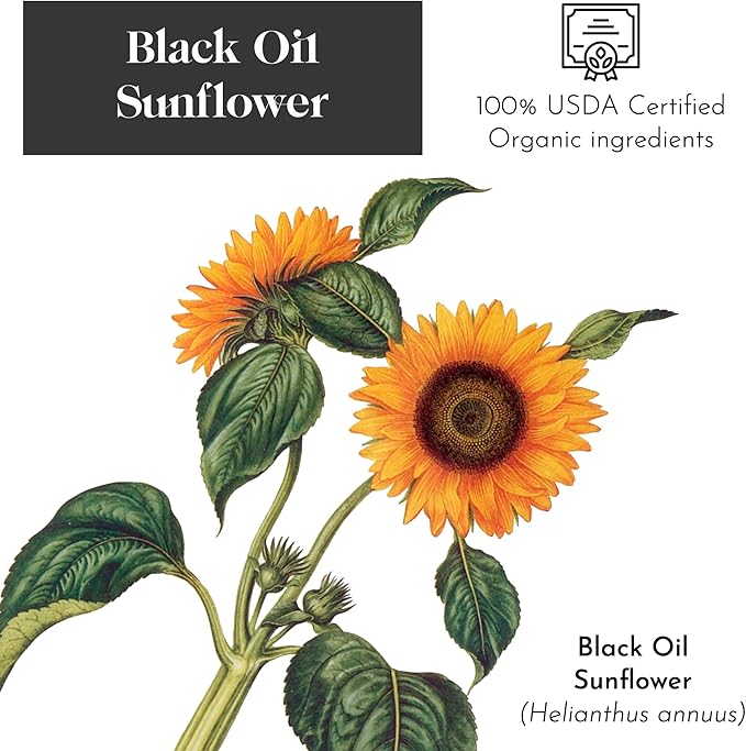 Flying Colors Premium Organic Wild Bird Seed | Black Oil Sunflower Seed | USDA Organic Ingredients | Best Seed for Backyard Bird Feeders | 3 Gallon Easy-Pour Carton-PurrikoPets