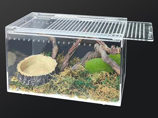 Acrylic Reptile Terrarium Enclosure 9.8" x 5.9" x 5.9" Magnetic Tarantula Breeding Box Transparent Insect Habitat for Jumping Spider Hermit Crab Lizard Sling Isopods Horned Frog Snake Gecko-PurrikoPets