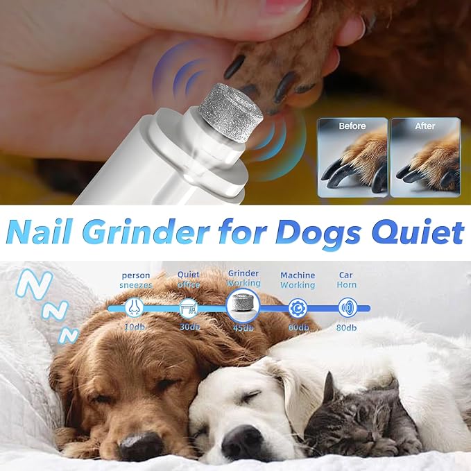 2 in 1 Dog Nail Clippers and Grinder with Lights & Cat Nail Clipper for Large Medium Small Dogs Cats Nail Trimmers USB Rechargeable with 2 LED Lights Dog Claw Care for Non-Black Nails-PurrikoPets
