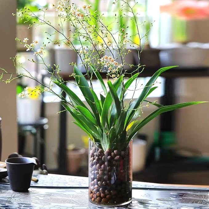 5 lbs Clay Pebbles for Plants, 8-12 mm Leca Clay Balls for Indoor Plants, Orchid Potting Mixes, Hydroponic Growing, Aquaponics, Potted Top Dressing and Drainage-PurrikoPets