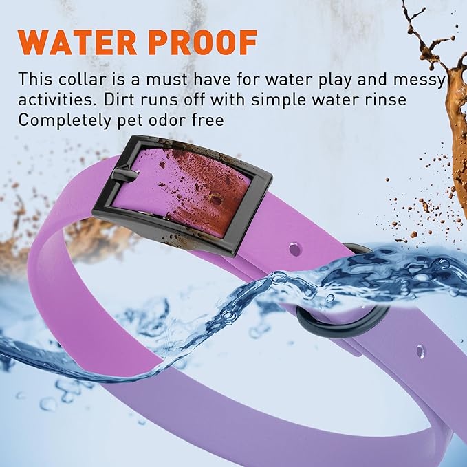 Dogline Biothane Waterproof Dog Collar Strong Coated Nylon Webbing with Black Hardware Odor- Proof for Easy Care Easy to Clean High Performance Fits Small Medium or Large Dogs, Amethyst Purple-PurrikoPets