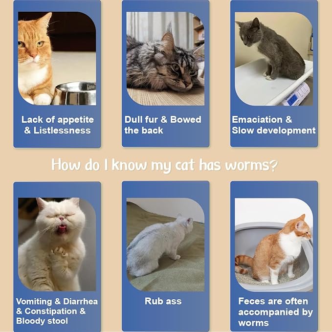 Flea Collar for Cats, Flea and Tick Collars for Kittens, Flea & Tick Treatment Prevention, Natural Essential Oil, 2 Pack, 16 Months Protection, One Size Fits All, Waterproof-PurrikoPets