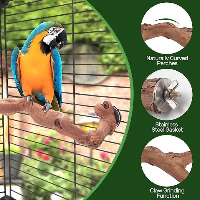 6-Piece Premium Bird Perch Stand with Natural Grape Wood Branch, Paw Grinding Fork, Chewing Stick, Cage Accessories for Parakeets, Budgies, Cockatiels, Finches, Lovebirds-PurrikoPets