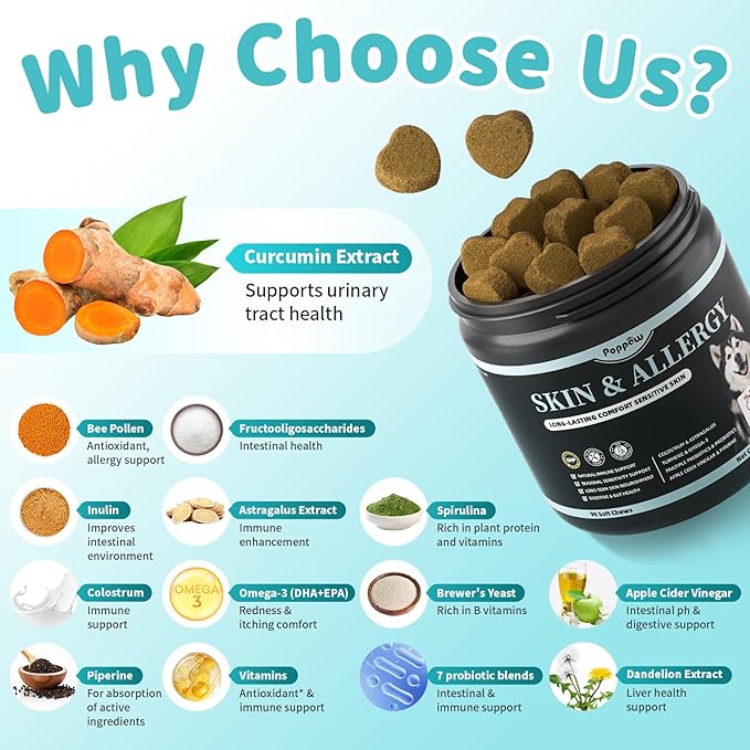 Dog Skin & Allergy Chews - Dog Probiotics for Sensitive Skin Health Support - Allergy Relief - Support Seasonal Allergies, Immune & Gut & Digestive Health Supplement - Beef Flavor - 90 Count-PurrikoPets