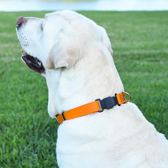 Dogline Biothane Waterproof Dog Collar with Herm Sprenger Black Stainless Steel Quick Release Buckle – Heavy Duty Tactical Durable Collar for Dogs – Comfortable, Safe Pet Collar W 1" L15-25 Tangerine-PurrikoPets