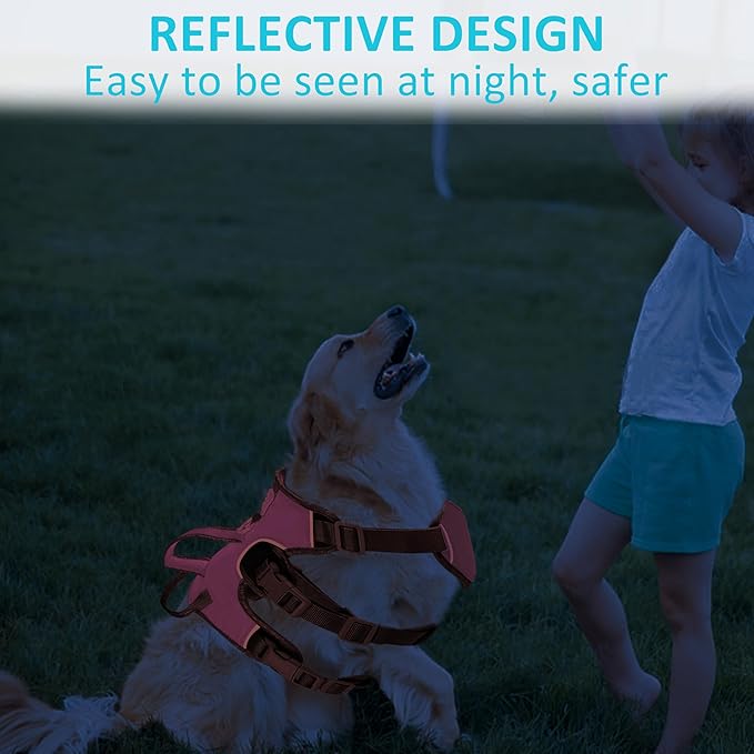 Escape Proof Dog Harness, No Pull Reflective Adjustable Vest with Easy Control Lift Handle, No Choke Soft Padded Breathable Full Body Pet Harness for Walking Hiking and Training (Pink, Small)-PurrikoPets