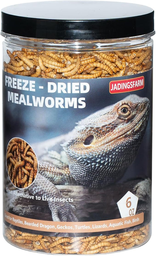 Freeze Dried Mealworms 6 Oz - High Protein Pet Food for Reptiles, Bearded Dragons, Birds & Hedgehogs - Nutrient-Packed Treat for Lizards, Geckos, Turtles, Chickens-PurrikoPets