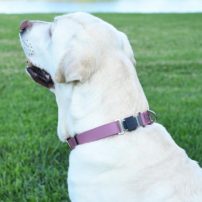 Dogline Biothane Waterproof Dog Collar with Herm Sprenger Stainless Steel Quick Release Buckle – Heavy Duty Tactical Durable Collar for Dogs – Comfortable and Safe Pet Collar, W 1" L 15-25", Amethyst-PurrikoPets