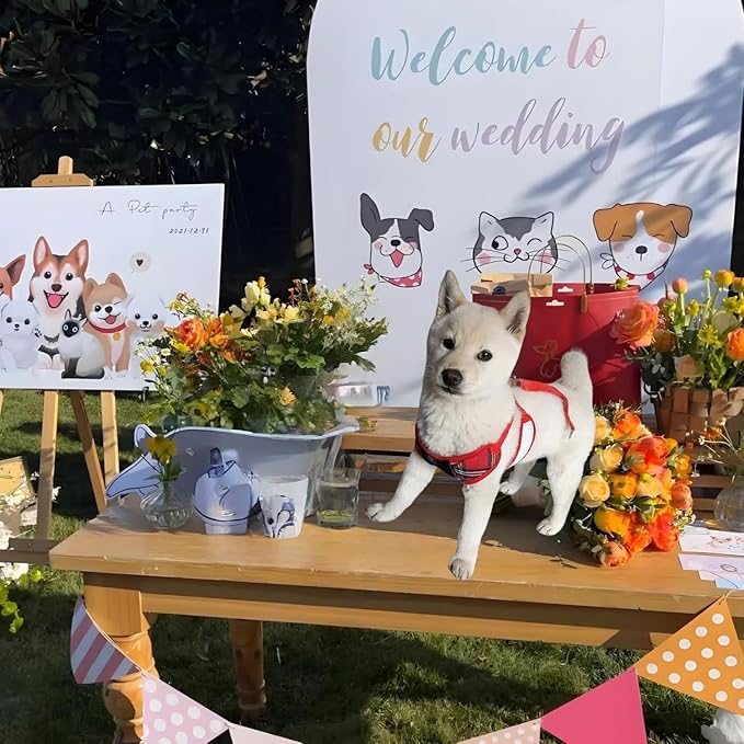 Dog Tuxedo for Wedding, Formal Pet Suit with Bow Tie and Leash, Adjustable Dog Costume for Small Medium Large Dogs, Birthday Christmas Halloween Party Apparel, M（8-14LB）-PurrikoPets