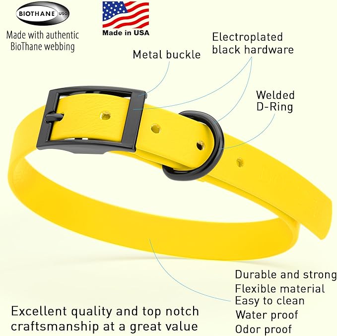 Dogline Biothane Waterproof Dog Collar Strong Coated Nylon Webbing with Black Hardware Odor- Proof for Easy Care Easy to Clean High Performance Fits Small Medium or Large Dogs, Lemon Yellow-PurrikoPets