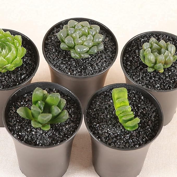 7lb Black Cactus Pea Gravel Rocks,1/4 Inch Pebbles for Indoor Plants, Natural Succulent Rock and River Rocks Decorative for Aquariums, Vases, Outdoor Gardening, Top Dressing for Potted Plants-PurrikoPets