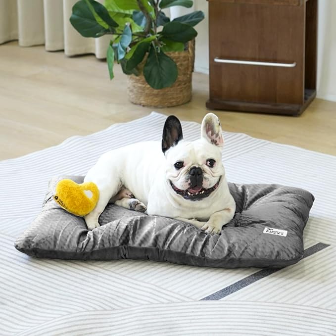 FUNNY FUZZY 30x20 Washable Dog Bed Crate Mat, 2 in1 Pet Pillow Sleeping Bed, Fluffy Deluxe Kennel Mattress for Medium Dog and Cat,Charcoal Grey,M-PurrikoPets