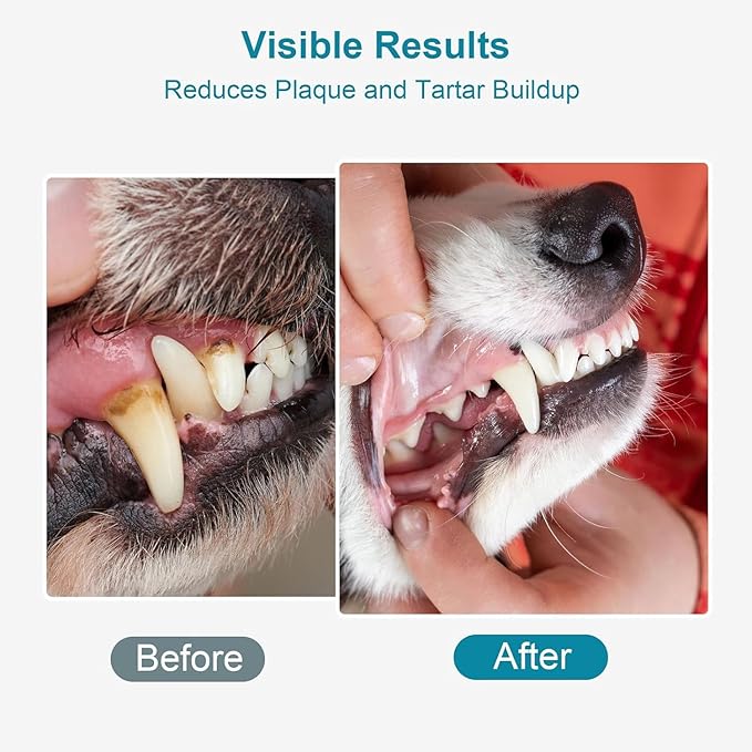 Dog Teeth Cleaning Powder 100g Fights Plaque & Tartar Freshens Breath All-Natural Ingredients for Dogs of All Breeds and Ages Easy to Use Dog Dental Powder-PurrikoPets