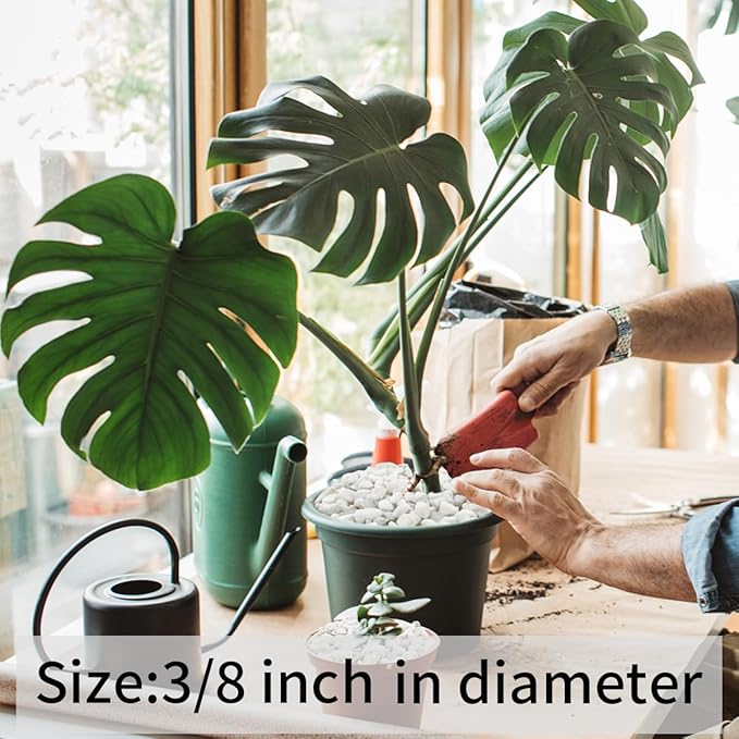 2 lbs White Gravel, 3/8 Inch White Pebbles for Indoor Plants. White Stones for Succulents, Planters, Vase and Outdoor Garden Landscaping-PurrikoPets