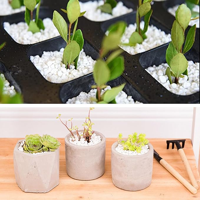 45lb White Cactus Pea Gravel Rocks,1/4 Inch Pebbles for Indoor Plants, Natural Succulent Rock and River Rocks Decorative for Aquariums, Vases, Outdoor Gardening, Top Dressing for Potted Plants-PurrikoPets