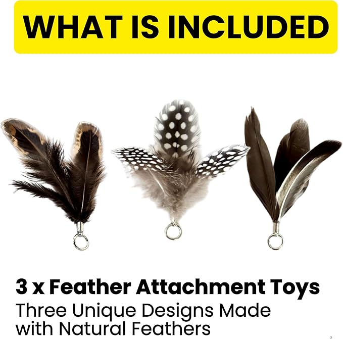 Feather Toys Replacements (3 Pc) - Cat Toys & Kitten Toys for Indoor Kittens, Set of Replacement Feather Attachments Extra Small and Durable, for Cat Wands, Natural and Safe-PurrikoPets