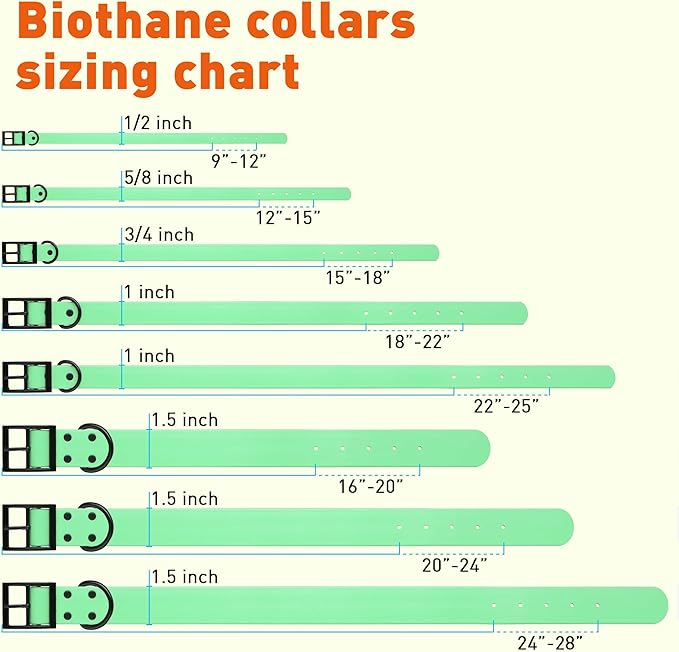 Dogline Biothane Waterproof Dog Collar Strong Coated Nylon Webbing with Black Hardware Odor- Proof for Easy Care Easy to Clean High Performance Fits Small Medium or Large Dogs, Sea Foam Green-PurrikoPets