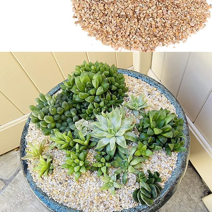 18lb Cactus Pea Gravel Rocks,1/5 Inch Pebbles for Indoor Plants, Natural Succulent Rock and River Rocks Decorative for Aquariums, Vases, Terrarium, Outdoor Gardening, Top Dressing for Potted Plants-PurrikoPets