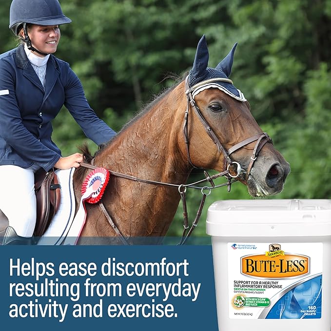 Absorbine Bute-Less Comfort & Recovery Support Supplement, Provides Long-Term Comfort, Gentle on Stomach, Includes Devil’s Claw, Vitamin B-12, Yucca, 10 lb / 160 Day Supply-PurrikoPets