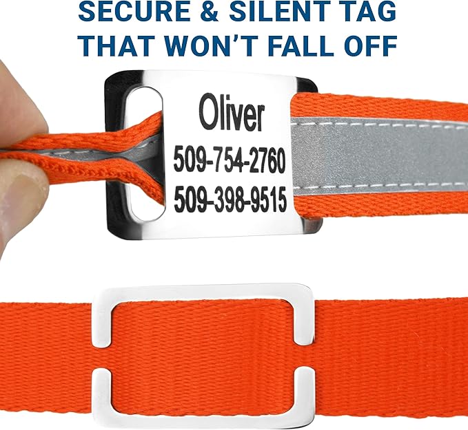 GoTags Reflective Personalized Dog Collar with Nameplate, Adjustable Dog Collar with Custom Engraved Steel Slide On Pet ID Tag, Silent, No Noise Dog Tag for Large Medium or Small (Orange, Medium)-PurrikoPets