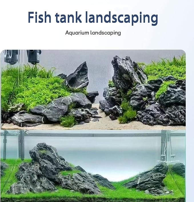 Dragon Stone Aquarium Rock Seiryu Stone for Aquariums, Fish Tanks, Bonsai, Terrariums, Wargaming Dioramas, Indoor or Outdoor Gardens-40Lb(2-10 Inch)-PurrikoPets