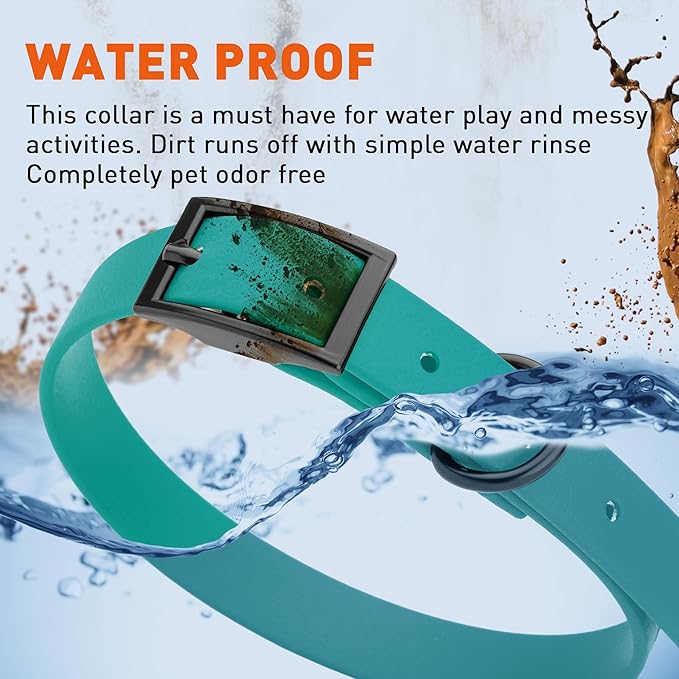 Dogline Biothane Waterproof Dog Collar Strong Coated Nylon Webbing with Black Hardware Odor- Proof for Easy Care Easy to Clean High Performance Fits Small Medium or Large Dogs, Blue Aqua-PurrikoPets