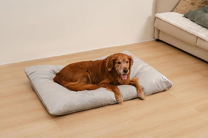FUNNY FUZZY Washable Dog Bed,Reversible Plush Dog Crate Mat, Soft Fluffy Kennel Pad,Pet Sleeping Mattress for Jumbo,X-Large Sized Dogs Breeds,2XL,48"× 31",Light Grey-PurrikoPets