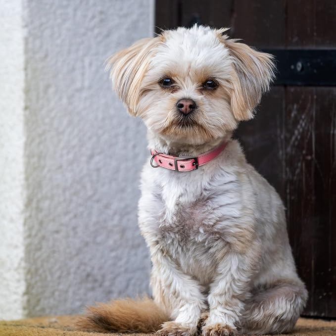 Fida Heavy Duty Dog Collar, Ultra Comfortable Soft Neoprene Padded, Adjustable Reflective Nylon Pet Collar with Durable Metal Belt Buckle for Small Breeds (S, Pink)-PurrikoPets